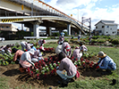 ハピネス花壇 植栽
