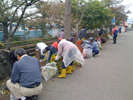 東新保さくら並木通り花壇整備
